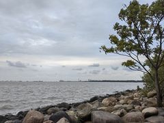 -上海吴淞炮台湾国家湿地公园