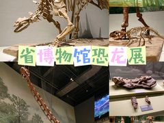 -山东博物馆