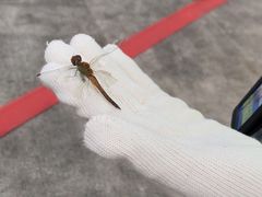 -映山红鲜货火锅(鱼嘴店)