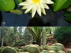 -上海辰山植物园