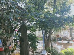 -李东农庄(中南百草园地标店)
