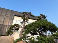 -罗红摄影艺术馆