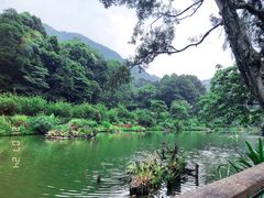 -深圳仙湖植物园