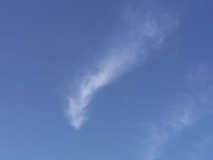 -林栖谷森林康养度假区