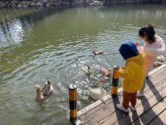 -J Create城市露营咖啡·简餐·宠物(上海动物园店)