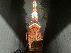 -六本木新城展望台(东京城市景观)