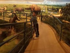 -陕西自然博物馆