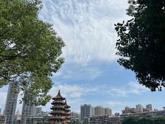 -宝岛公园