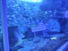 -多彩贵州城极地海洋世界