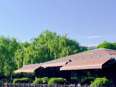 -唐城墙遗址公园
