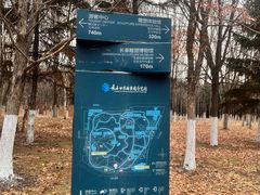 -长春世界雕塑园冰雪艺术天地