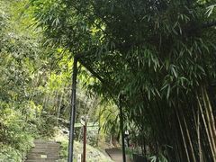 -常德桃花源景区