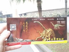-自贡恐龙博物馆