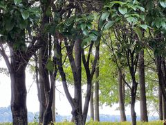 -石湖景区