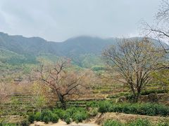 -塔川景区