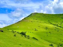 -大姆山草场