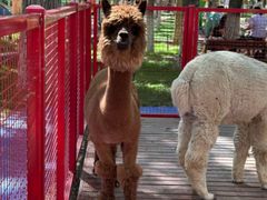 -水上乐园·欢乐世界