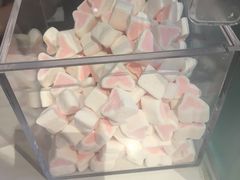 桃心棉花糖-狐狸和向日葵(北京路店)