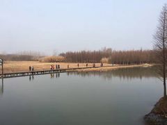 -溱湖国家湿地公园