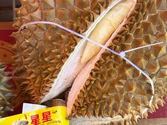 -何庄子阿米玛玛农产品批发市场