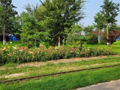 -永定河休闲森林公园