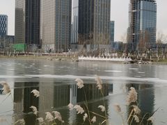 -西海子公园