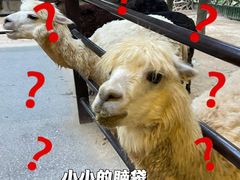 -杭州野生动物世界