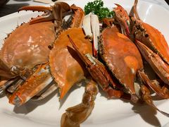 -T11生鲜超市(朝阳公园店)