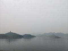 -望湖烤鱼