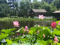 -西海子公园