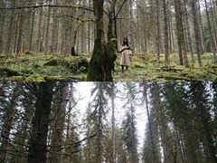 -硗碛藏寨·神木垒景区