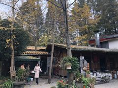 -青城甲(青城山店)