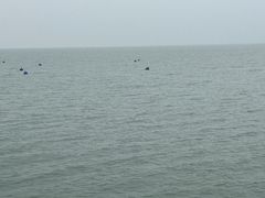 -苏州东太湖生态园