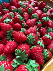 -幻贝家儿童乐园(苏州中心店)