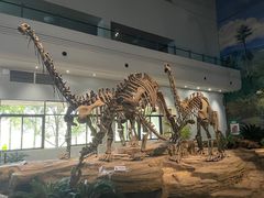 -自贡恐龙博物馆