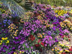 -COSTA COFFEE(上海虹口公园店)