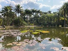 -中国科学院西双版纳热带植物园