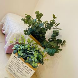 -SixOne六一日式美甲美睫