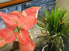 -沐渔二手奢侈品黄金手表包包回收·中古店(广州塔店)