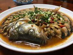 -全乐鱼馆·淳牌有机鱼直营店