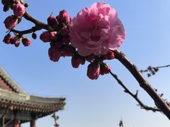 -颐和园