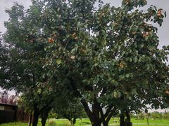 -汉长安城未央宫国家考古遗址公园