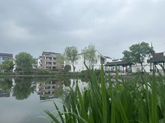 -东梓关景区村庄