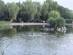 -太阳宫公园