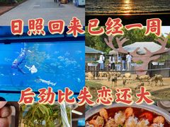 -渡海小渔村.老辈日照菜