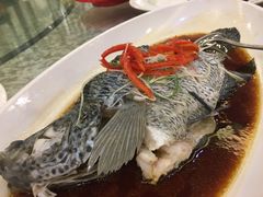 -新长岭大酒店酒楼