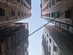 -老周记顺德双皮奶