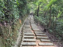 -阳台山森林公园