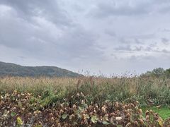 -南北湖风景区