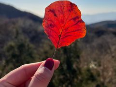-北京西山国家森林公园
